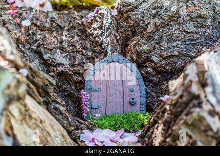 Kleine Märchentür aus Ton im Kirschbaumstamm. Stockfoto