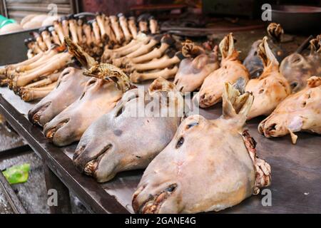 Geröstete Ziegenköpfe auf dem Boden Stockfoto