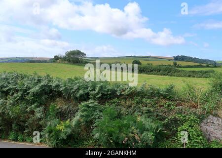 Ein Blick auf die wunderschöne Landschaft um Slapton in South Devon Stockfoto