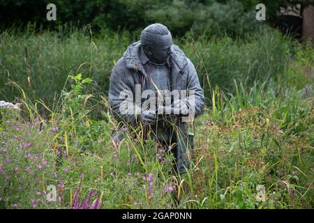 Statue von Sir Peter Scott, Gründer des London Wetland Centre, von Nicola Godden, in Barnes, Südwesten Londons, Großbritannien Stockfoto