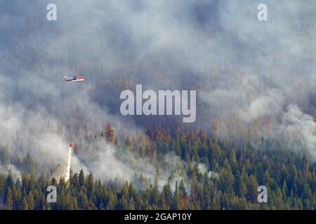 Hubschrauber bekämpfen das Feuer in South Yaak in den Purcell Mountains im Nordwesten von Montana. (Foto von Randy Beacham) Stockfoto