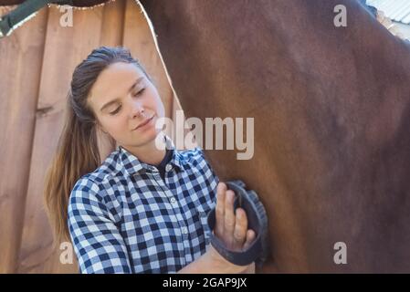 Weibliche Pferdebesitzerin, die tagsüber ihr dunkles Lorbeerpferd im Stall den Hals putzt. Mit einem Pferdepinsel den Hals des Pferdes gründlich abreiben. Reinigung und Pflege von Pferden. Stockfoto