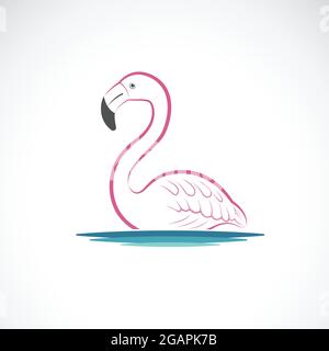 Vektor von Flamingo-Design auf weißem Hintergrund. Wilde Tiere. Vögel. Leicht editierbare Vektorgrafik mit Ebenen. Stock Vektor