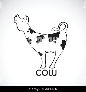 Vektor der Kuh auf weißem Hintergrund. Leicht editierbare Vektorgrafik mit Ebenen. Tiere. Stock Vektor