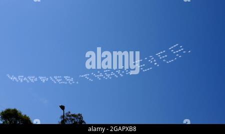 Los Angeles, Kalifornien, USA 31. Juli 2021 EINE allgemeine Sicht der Atmosphäre von Billie Eilish 'glücklicher als je zuvor' Skywriting über Sunset Blvd in Los Angeles, Kalifornien, USA. Foto von Barry King/Alamy Stockfoto Stockfoto