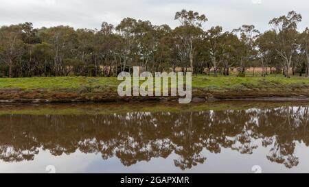 Baumreflexionen am onkaparinga-Fluss im Nationalpark in seaford South australia am 23. juli 2021 Stockfoto