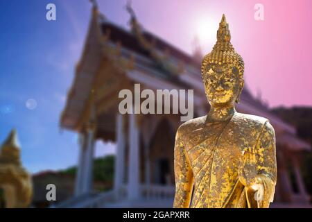 Der goldene Buddha steht vor der buddhistischen Kirche in Thailand. Stockfoto