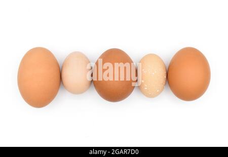 Vergleich von Standard-Hühnereiern und bantam-Eiern. Isoliert auf Weiß. Stockfoto