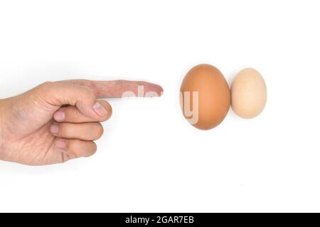 Konzept der rechtsseitigen Skrotalschwellung oder Hodenschmerzen. Vergleich von Standard-Hühnereiern und bantam-Eiern. Isoliert auf Weiß. Stockfoto