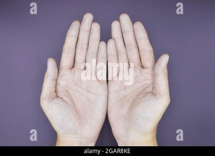 Blasse Palmaroberfläche beider Hände. Anämische Hände eines asiatischen, chinesischen Mannes. Isoliert auf magentafarbenem Hintergrund. Stockfoto