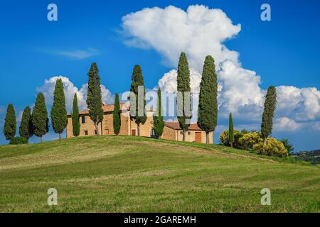 Nettes Landhaus mit Zypressen am Hang, Toskana, Italien, Europa Stockfoto