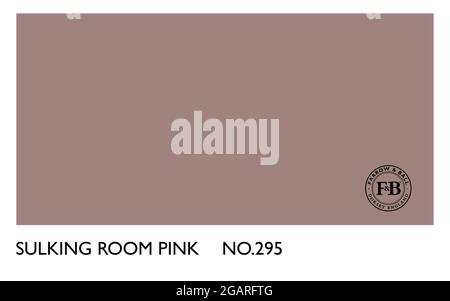 Farrow & Ball schwül Zimmer rosa Nr. 295 Farbkarte Stock Vektor
