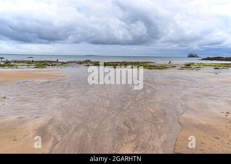 Milsey Bay und Bass Rock, North Berwick, East Lothian, Schottland, Großbritannien Stockfoto