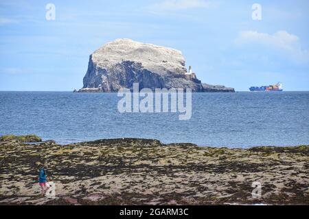 Bass Rock, North Berwick, East Lothian, Schottland Großbritannien Stockfoto