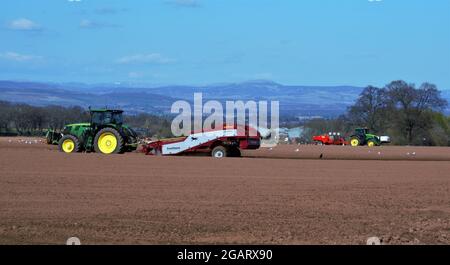 Traktor entsteinen und Pflanzen von Kartoffeln, Perthshire, Schottland - Kartoffelfeldarbeit Stockfoto