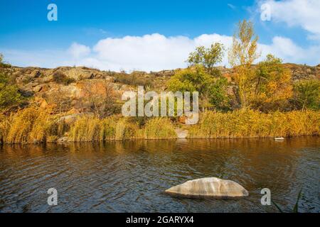 Ein schneller, flacher, sauberer Bach fließt zwischen glatten nassen großen Steinen, umgeben von hohen trockenen Klumpen, die im Wind im malerischen Ukraine schwanken Stockfoto