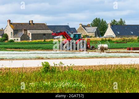 Traktor auf einem Bauernhof, Abteilung Manche, Cotentin, Normandie, Frankreich Stockfoto