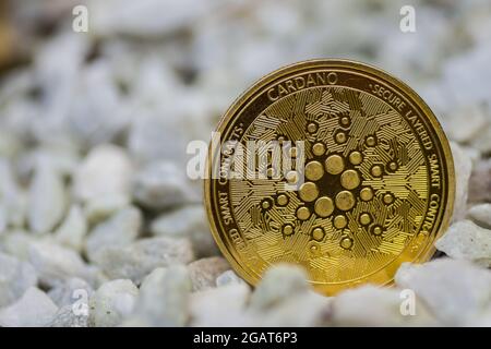 Einzelne goldglänzende ada-Münze aus cardano-Währung, die rechts auf einer Kiesrückseite steht Stockfoto