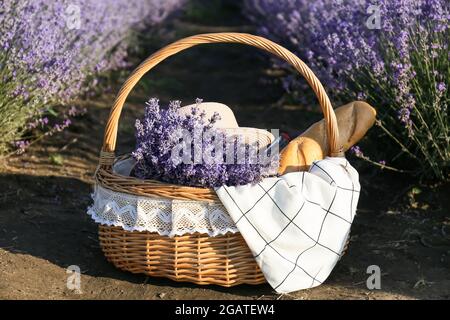 Picknickkorb aus Korbkörbchen im Lavendelfeld Stockfoto