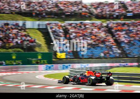 # 33 Max Verstappen (NED, Red Bull Racing), F1 Grand Prix von Ungarn beim Hungaroring am 31. Juli 2021 in Budapest, Ungarn. (Foto von HOCH ZWEI) Stockfoto