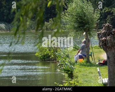 Berlare, Belgien, 22. Juli 2021, ein älterer grauer Mann fischt auf einem Baum am Wasser Stockfoto