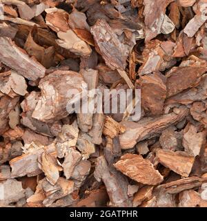 Pine Chips aus nächster Nähe. Nahtlose Textur von Stücken von Kiefernrinde. Stockfoto