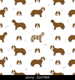 Bernedoodle Mischung Rasse nahtlose Muster. Verschiedene Fellfarben und Posen eingestellt. Vektorgrafik Stock Vektor