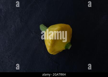 Yello Patty Pan Squash, Sorte Sunburst Stockfoto