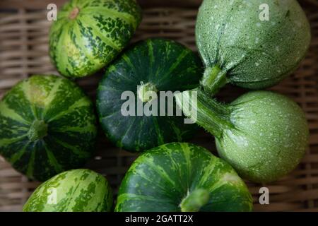 Sommerkürbis: Pattypan Sorte grüne Scheibe und Zucchini Sorte Rondo di Nizza Stockfoto