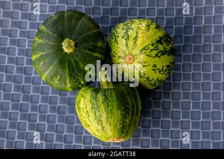 Pattypan Squash, Sorte Green Disc, präsentiert auf einer blauen Platte Stockfoto