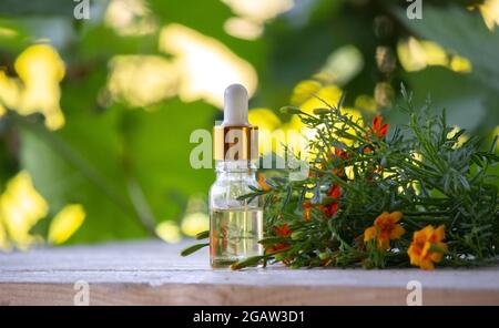 Ringelöl ätherische Öle, Natur. Selektiver Fokus Stockfoto