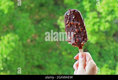 Hand hält einen in Schokolade getauchten Eisdiele gegen verschwommenes grünes Laub Stockfoto