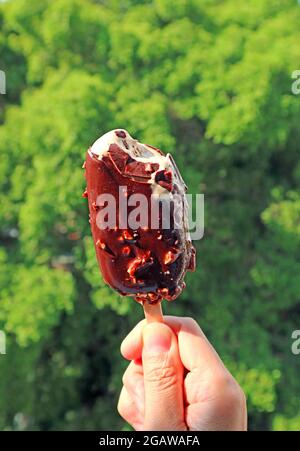 Hand hält eine Eisdipped Ice Cream Bar mit Bitten Chocolate und verschwommenem Green Garden im Hintergrund Stockfoto