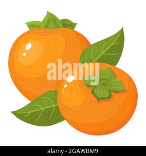 Frische ganze Kaki-Früchte isoliert auf weißem Hintergrund. Sommerfrüchte für einen gesunden Lebensstil. Bio-Obst. Cartoon-Stil. Vektorgrafik für Stock Vektor