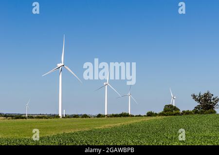 Reihe von drei modernen Windmühlen auf dem Land in der Nähe von Tarariras, Colonia. Viele andere Windmühlen können auf dem Hintergrund mit einigen Bäumen auf der r gesehen werden Stockfoto