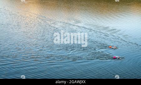 Schwimmer im Freien mit Schwimmbojen auf einem ruhigen See, Training am Sommermorgen Stockfoto