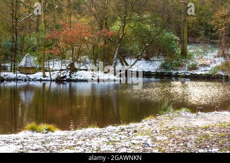 Southcrest Wood in Redditch, Worcestershire im Winter. Stockfoto