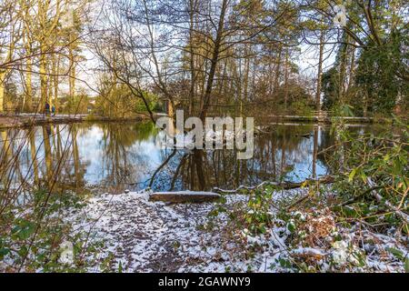 Southcrest Wood in Redditch, Worcestershire im Winter. Stockfoto