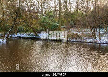 Southcrest Wood in Redditch, Worcestershire im Winter. Stockfoto