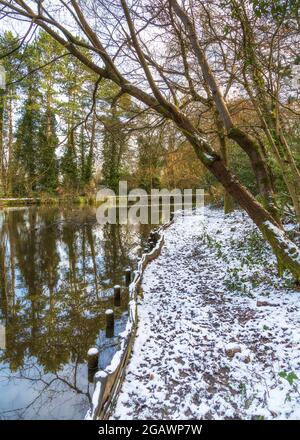 Southcrest Wood in Redditch, Worcestershire im Winter. Stockfoto