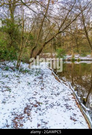 Southcrest Wood in Redditch, Worcestershire im Winter. Stockfoto