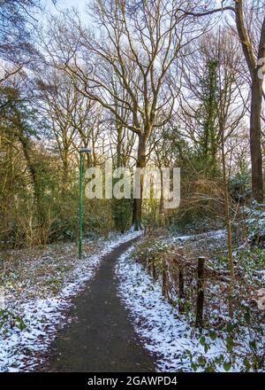 Southcrest Wood in Redditch, Worcestershire im Winter. Stockfoto