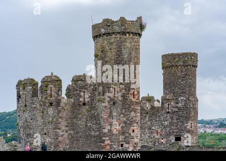 CONWY, WALES - 04. JULI 2021: Ruinen von Convy Castle. Stockfoto