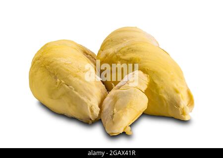 Tropischer süßer Durian auf weißem Hintergrund mit Beschneidungspfad. Durian, die berühmteste Frucht in Thailand. Stockfoto