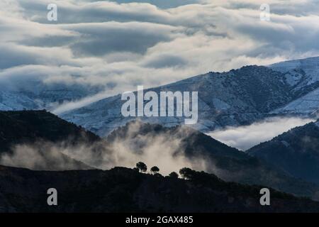 Landschaft aus Bergen, bedeckt mit Wolken, Schnee und einem Aussichtspunkt neben einigen Bäumen in der Sierra Nevada. Stockfoto