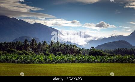 Wunderbarer Blick auf die Wolken von den Alsoda Bergen in Abha Stadt im südlichen Teil von Saudi-Arabien. Stockfoto