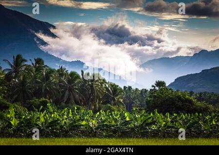 Wunderbarer Blick auf die Wolken von den Alsoda Bergen in Abha Stadt im südlichen Teil von Saudi-Arabien. Stockfoto