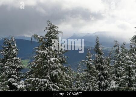 Baskische Täler im Nebel vom verschneiten Berg Kolitxa Stockfoto