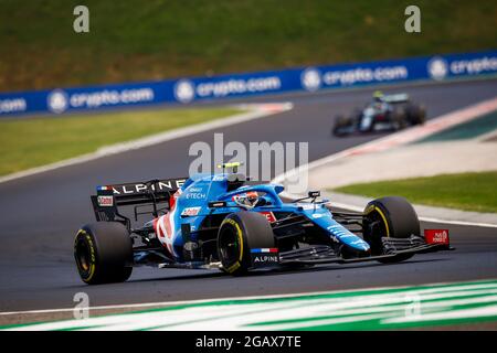 Budapest, Ungarn. August 2021. 31 OCON Esteban (Fra), Alpine F1 A521, Aktion während der Formel 1 Magyar Nagydij 2021, großer Preis von Ungarn, 11. Lauf der FIA Formel 1 Weltmeisterschaft 2021 vom 30. Juli bis 1. August 2021 auf dem Hungaroring, in Mogyorod, bei Budapest, Ungarn - Photo Xavi Bonilla/DPPI Credit: DPPI Media/Alamy Live News Stockfoto