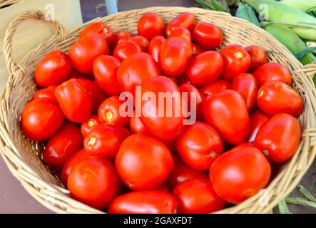 Rote reife Pflaumentomaten in einem Weidenkorb zum Verkauf an einem lokalen Bauernstand. Nahaufnahme. Stockfoto